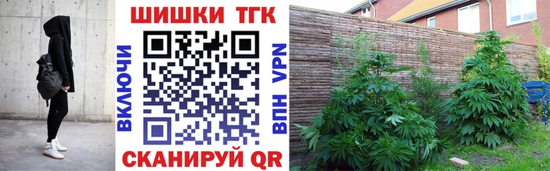 Купить где  Порхов  МАРИХУАНА OG Kush 